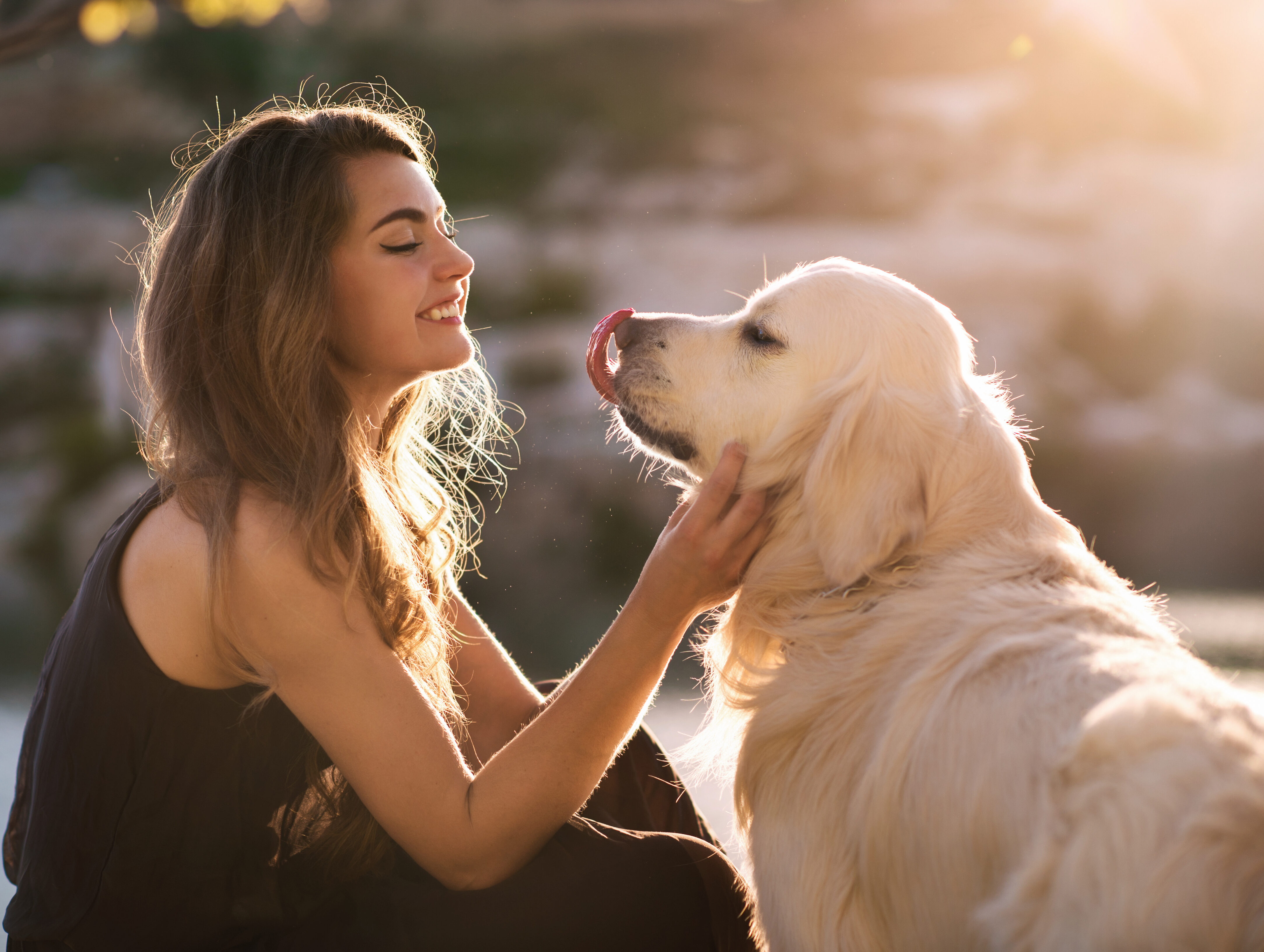 Babes dog. Женщина с собакой. Девушка с ретривером. Красивая женщина с собакой. Женщина и ретривер.