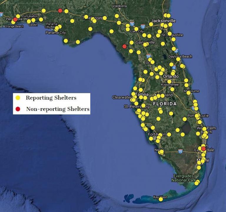 Florida Animal Shelters Set LifeSaving Record in 2019