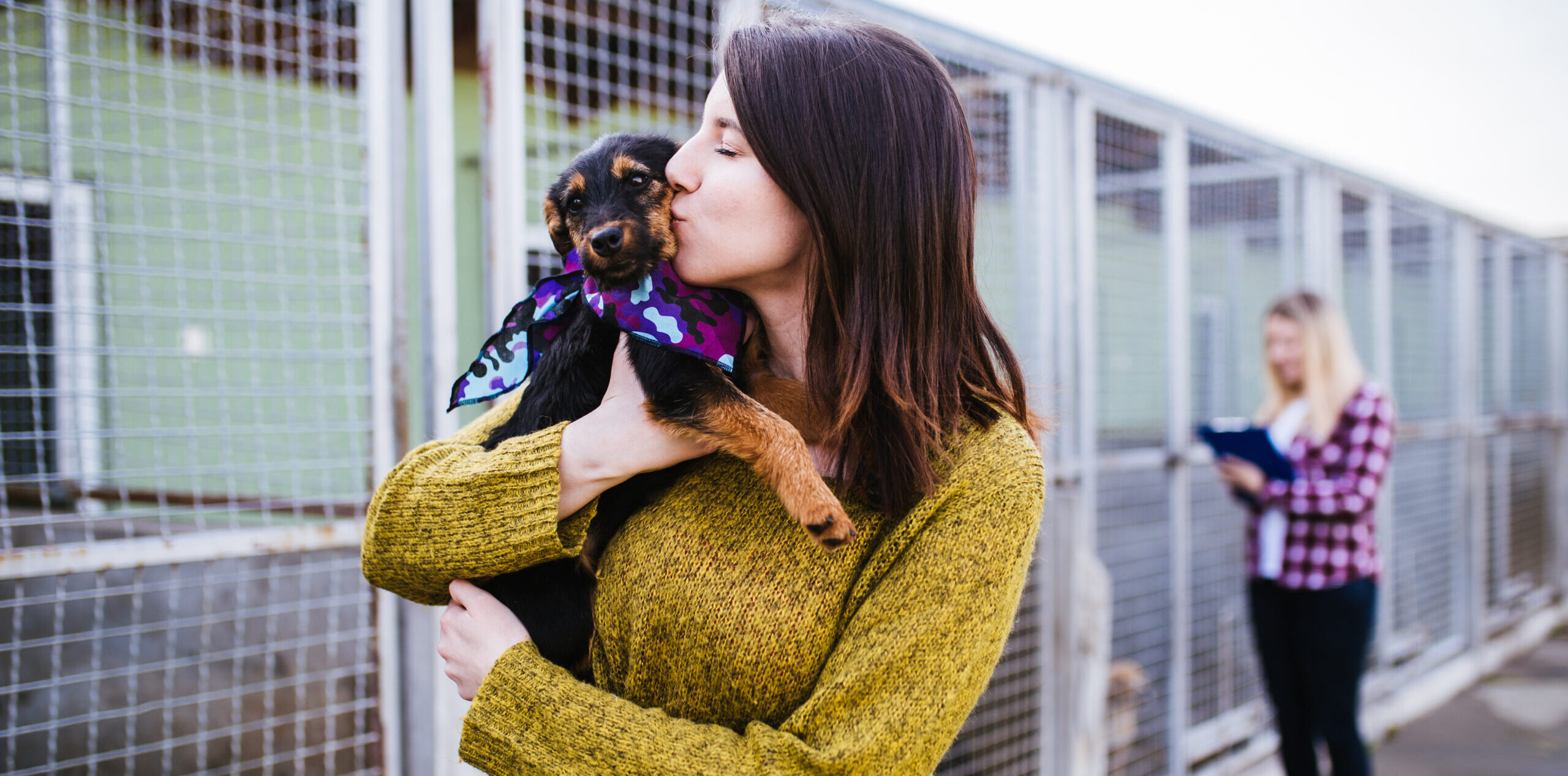 What to Do After Adopting a Dog from a Shelter: 7 Tips for the