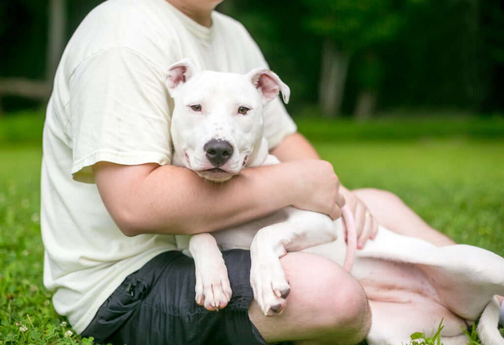 Benefits of Fostering a Pet From Your Local Animal Shelter