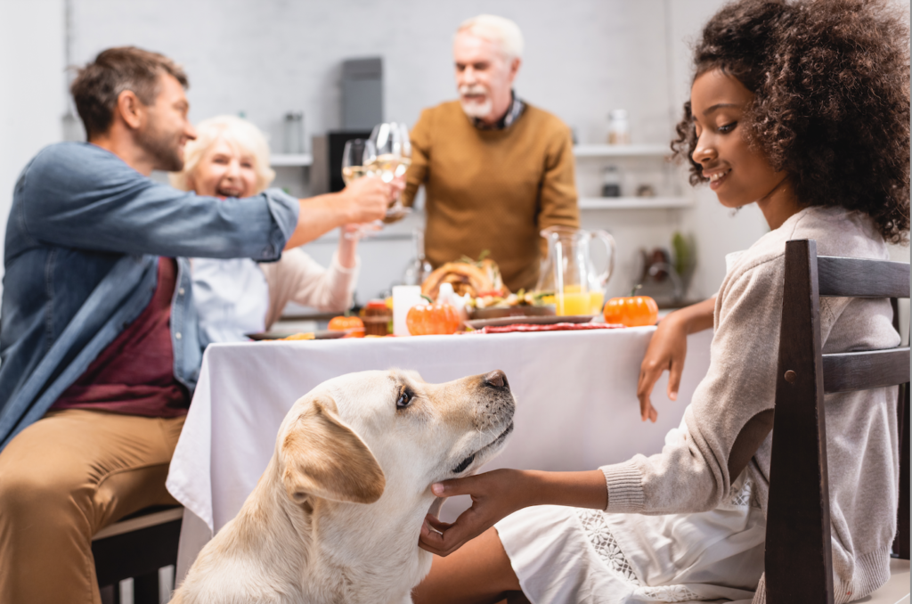 What to Know About Feeding Your Pet on Thanksgiving