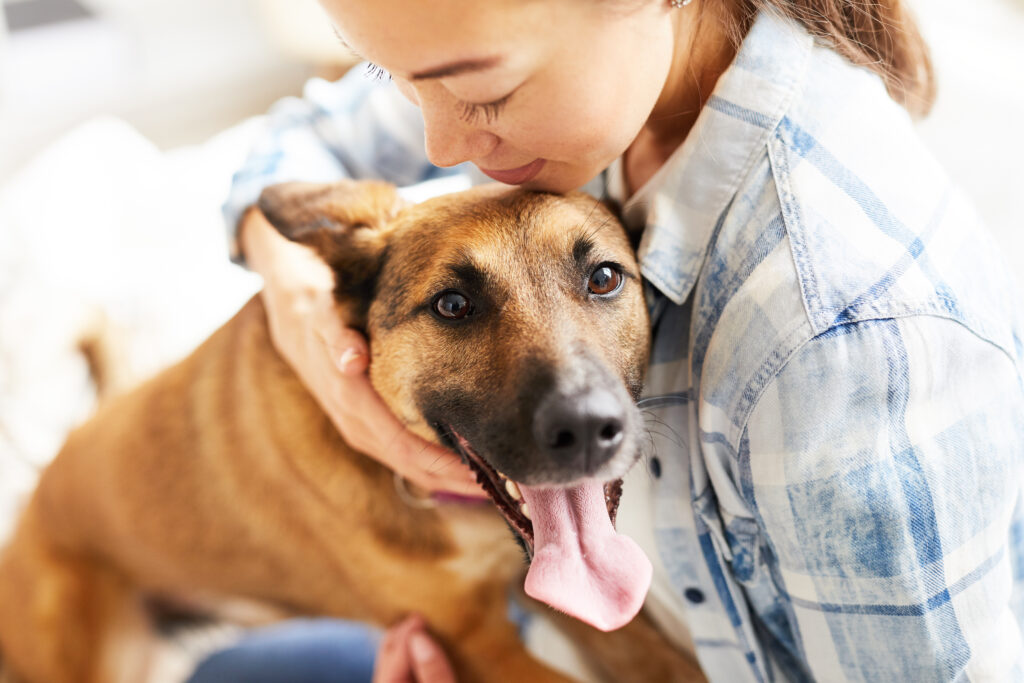 7 Ways to Make Car Rides More Comfortable for Your Dog