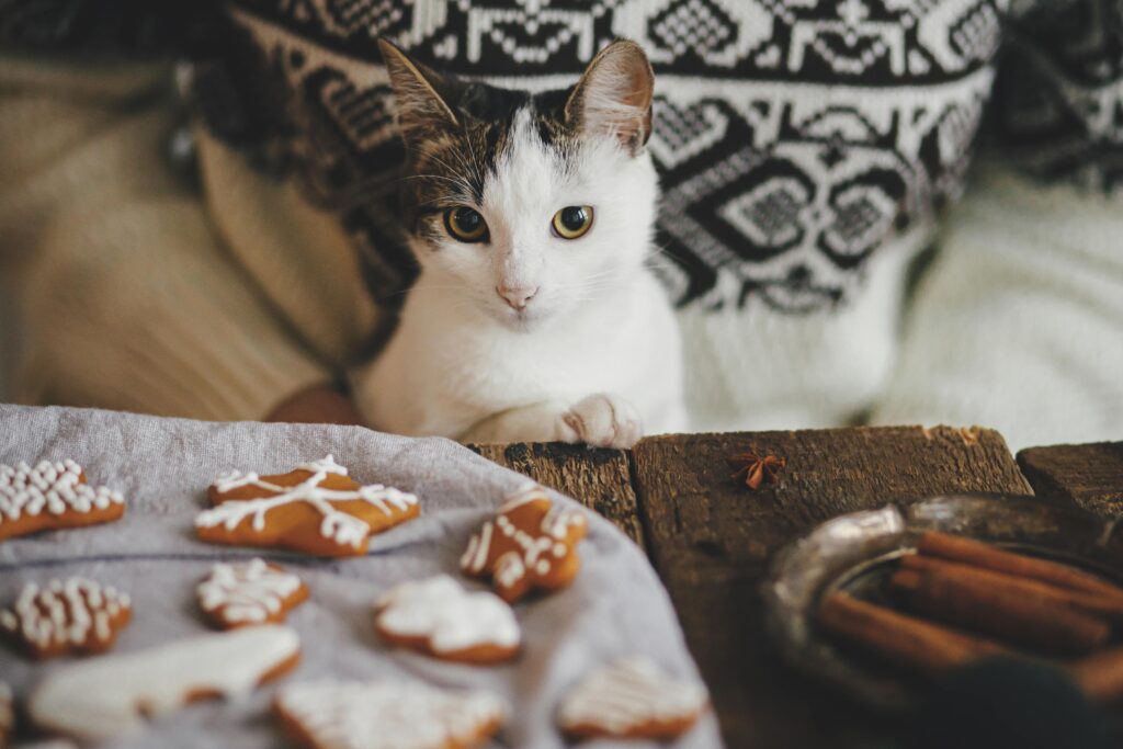 The Top Christmas Do’s and Don’ts for Feeding Your Furry Friends