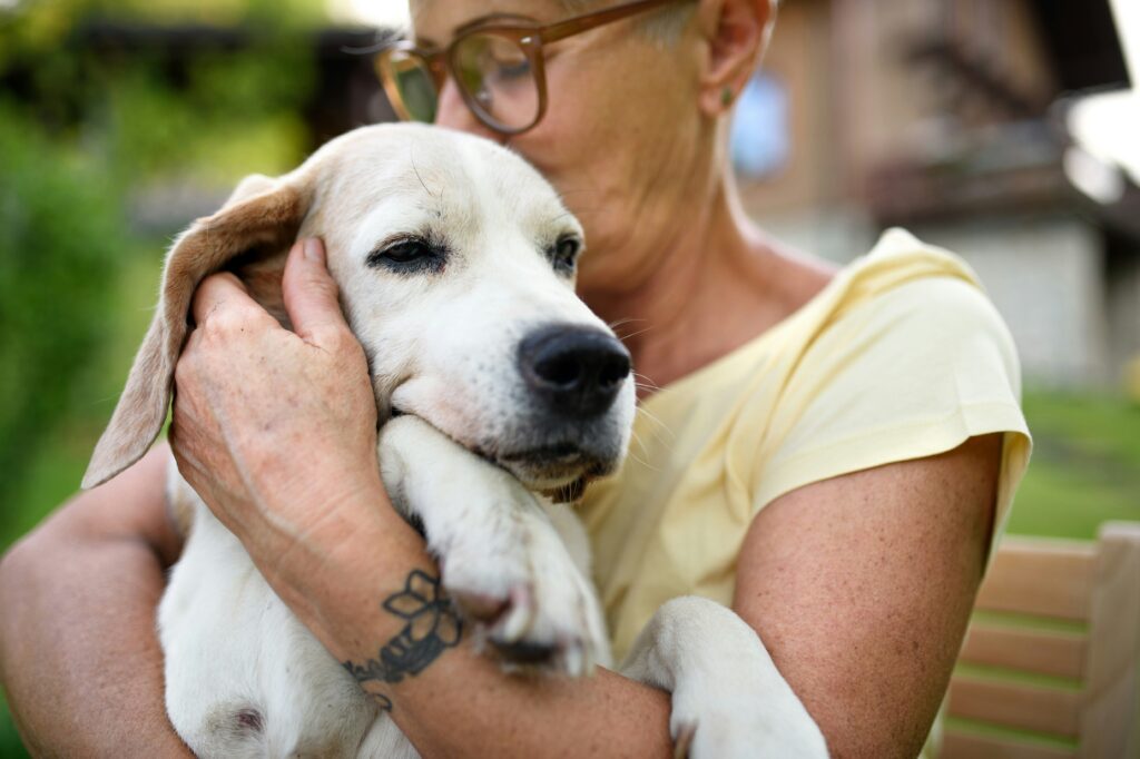 Tips to Detect and Prevent Pet Cancers