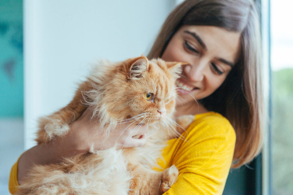 How to Get Ready for Your First Cat (Without Overthinking It)